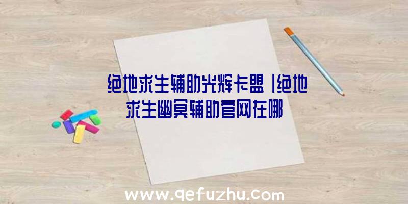 「绝地求生辅助光辉卡盟」|绝地求生幽冥辅助官网在哪